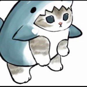 Meet your Posher, Greyson